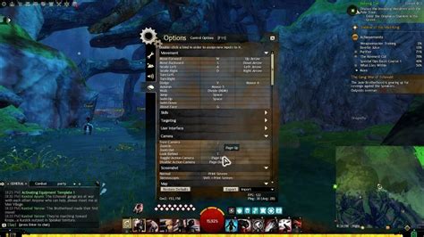 gw2 action camera auto attack.